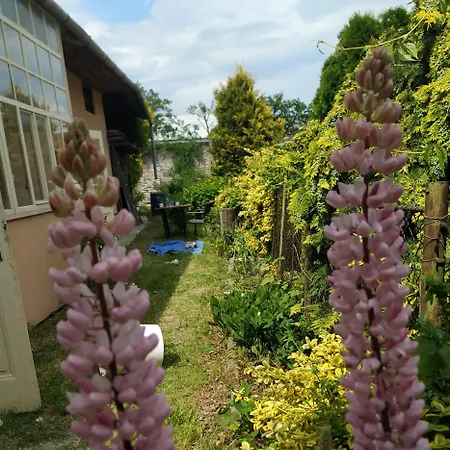 Rodinny Dom Cavern - Rajec, 7 Km Od Rajeckych Teplic * Rajec